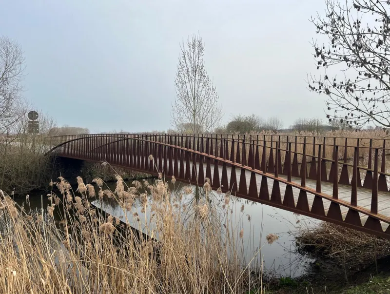 Voetgangersbrug over een waterloop tussen rietkragen in het natuurgebied Kalkense Meersen Donkmeer.