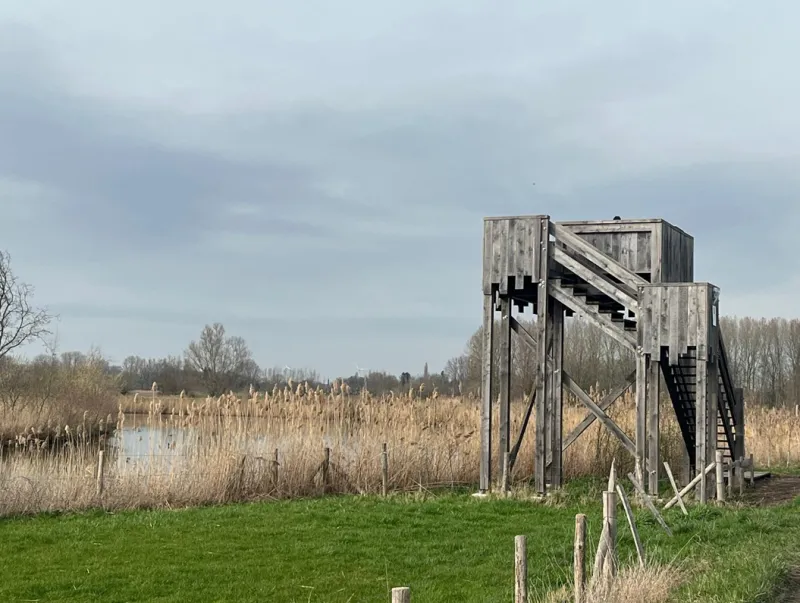 Houten uitkijktoren aan de rand van een rietland en waterpartij in natuurgebied Kalkense Meersen Donkmeer.